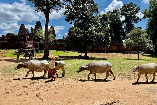 Full-Day 'Big Tour' with Sunset at Phnom Bakheng - Preah Khan gives the route its grandest temple