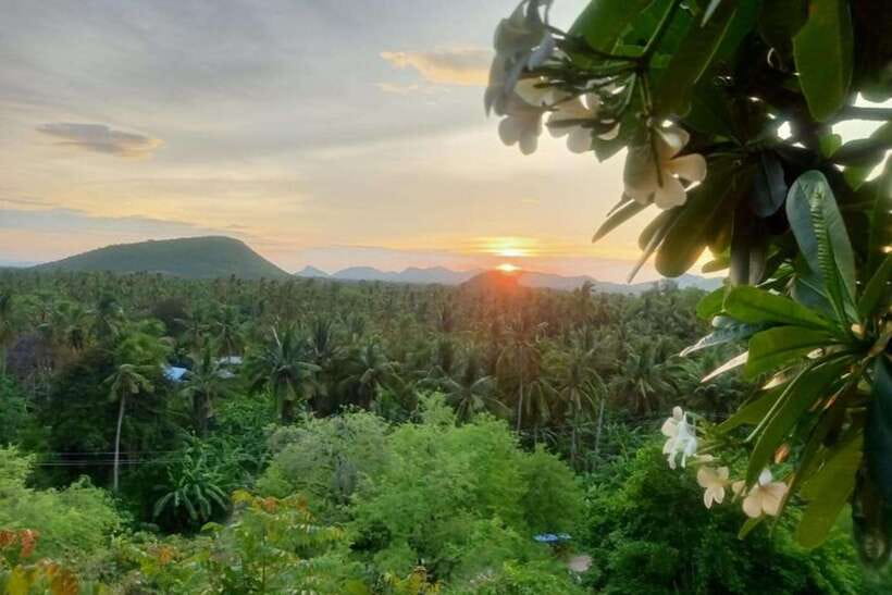 Full-day: Original bamboo train, Wat Banan, Phnom Sampov - Phnom Sampov, the Killing Cave, and Cambodia’s painful past