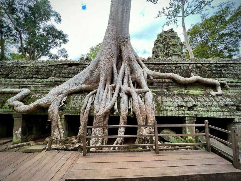 Full Day Private of Angkor Wat Tour with Tuk Tuk - The Terrace of the Elephants and royal ceremony