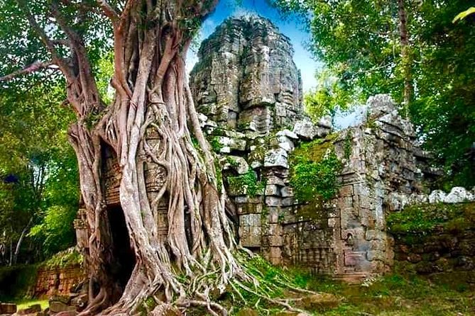 Full-day Private VIP Tour to Angkor Complex - Starting at Angkor Thom’s South Gate