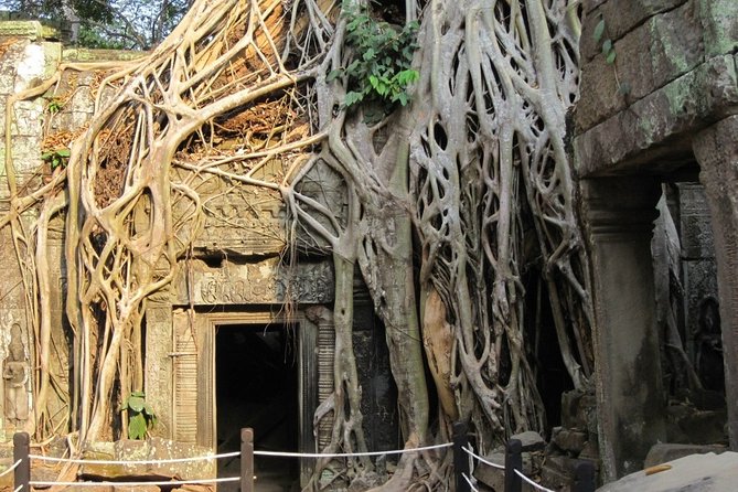 Full-Day Siem Reap Angkor Major Temples Private Tour - One morning, many sides of Angkor