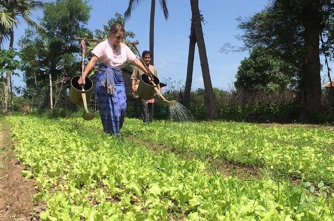 Full Day Siem Reap Farm Tour with Cooking Class and Monk Blessing - How the $45 price works for you