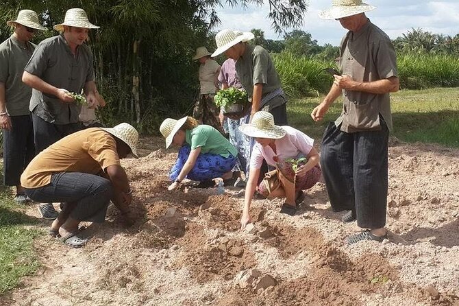 Full Day Siem Reap Farm Tour with Cooking Class and Monk Blessing - Practical preparation for the 8 to 9-hour day