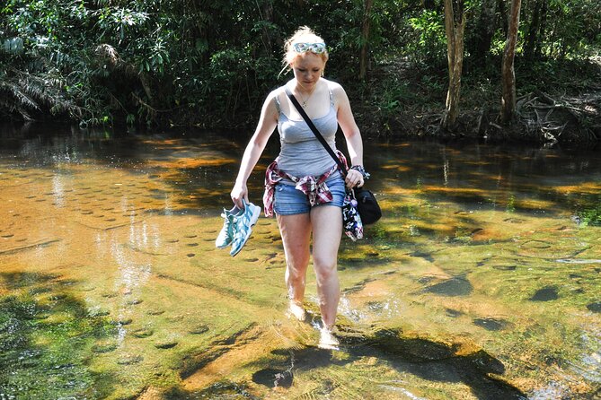 Full Day to Banteay Srei, Kulen National Park and Beng Mealea - What the private guide adds