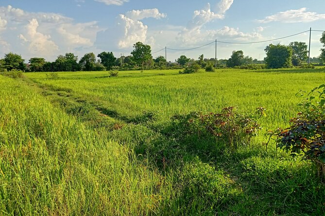 Full Day tour .City tour.Countryside.Bamboo Train.Secret Bat Cave - A full day that shows Battambang beyond the center
