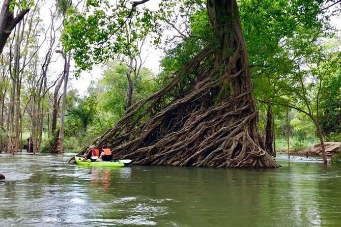 Full Day Tour from Siem Reap - Bamboo Train, Killing Cave & Sunset - Waiting for the bats at sunset