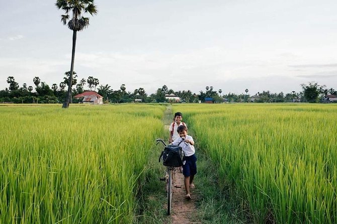 Full-day: Wat Banan. Old bamboo train. Bat Cave. Killing cave - Why this Battambang day works so well