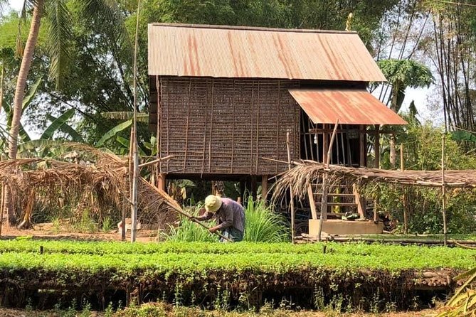 Full-day: Wat Banan. Old bamboo train. Bat Cave. Killing cave - Lunch, snacks, and the value of local stops