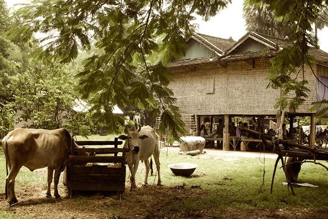 Full-day: Wat Banan. Old bamboo train. Bat Cave. Killing cave - Crossing the suspension bridge and entering village life
