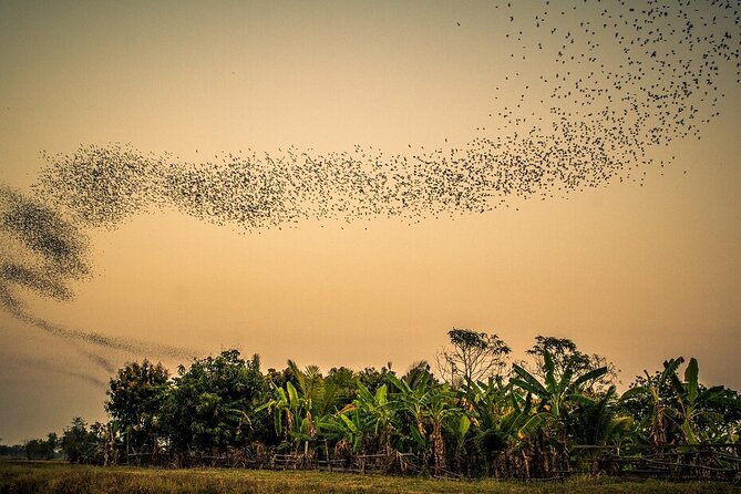 Full/Half Day Tuk TuK: Handicrafts Bambootrain Killing&Bat Caves - Key points at a glance
