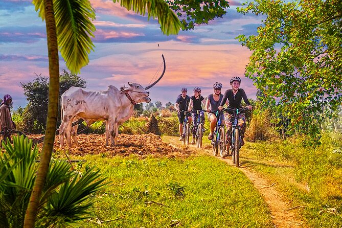 Grand Tour-Ek Phnom. Baset. Bamboo Train. Wat Banan. Phnom Sampov - Why this Battambang day works