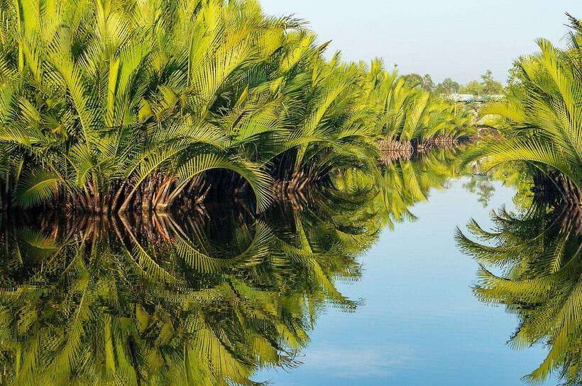 Green Cathedral Kayaking Journey & Reflection River View - Practical timing and small details