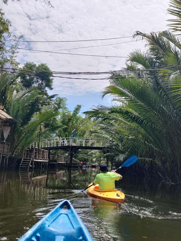Green Cathedral Kayaking Journey & Reflection River View - Sunset, swimming, and the best way to end the trip