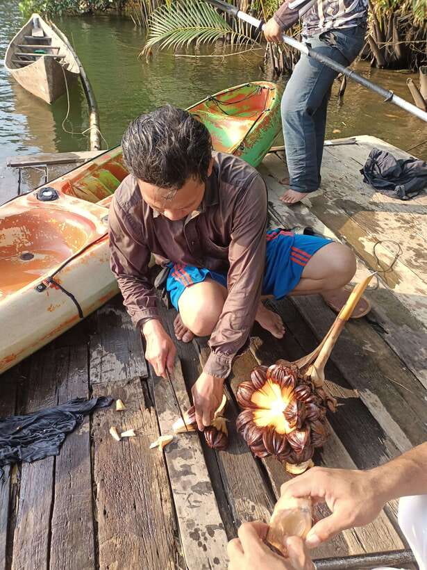 Green Cathedral Kayaking Journey & Reflection River View - What $28 gets you in Kampot