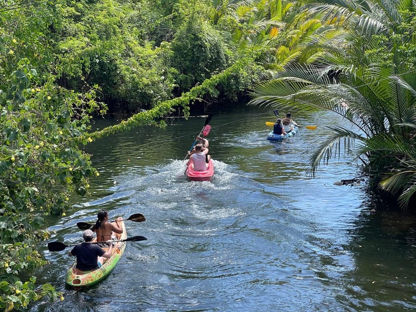 Green Cathedral Kayaking Journey & Reflection River View - How demanding is the kayaking?