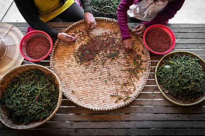 Half-Day Adventure to the Pepper Farm by Scooter - Why the countryside is the real attraction