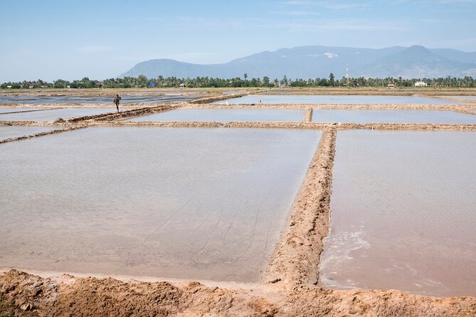 Half-Day Adventure to the Pepper Farm by Scooter - Climbing to Phnom Chhngok Cave Temple