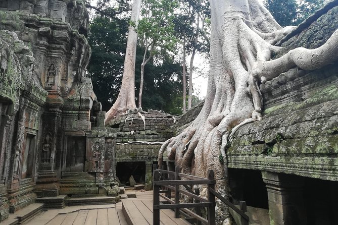 Half Day Angkor Wat Sunrise Private Tour - Why the 4:30 am start is worth considering