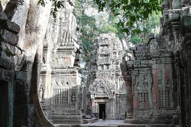 Half Day Angkor Wat Sunrise Private Tour - Guides who can make the morning better