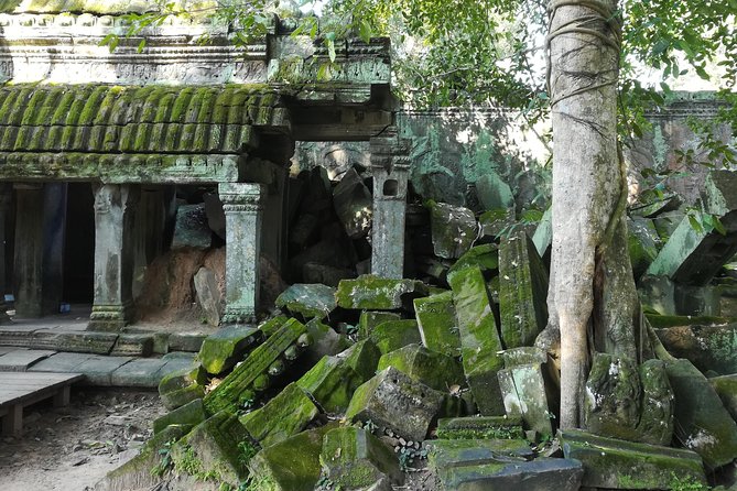 Half Day Angkor Wat Sunrise Private Tour - Ta Prohm at the 7:00 am opening