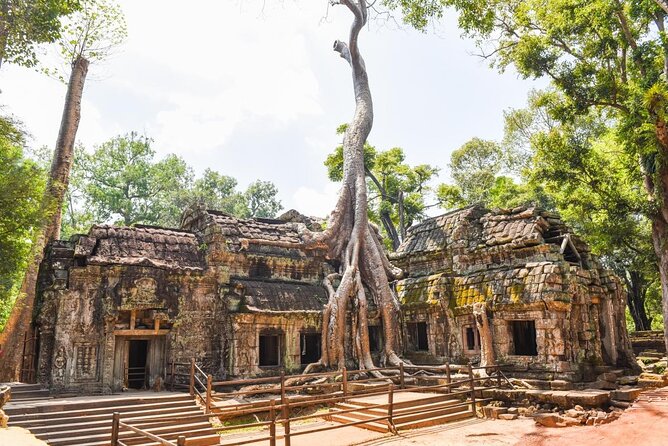 Half Day Angkor Wat Tour - Morning or Afternoon from Siem Reap - A Short Route Through Angkor’s Greatest Hits