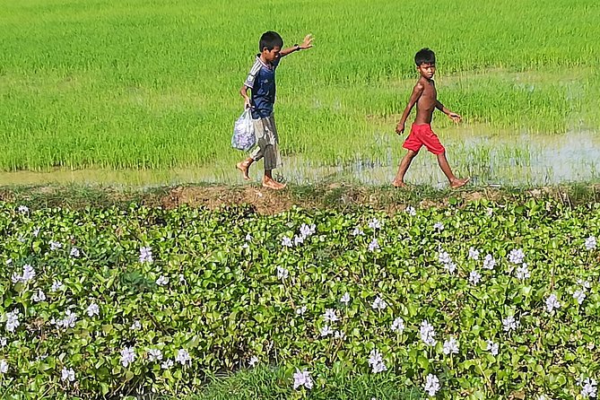Half Day Floating Village ( Mechrey) & Tole Sap Tour - Two hours on Tonlé Sap