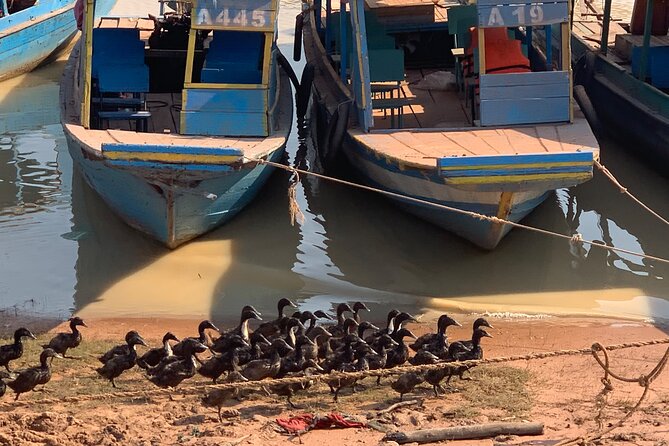 Half Day Floating Village ( Mechrey) & Tole Sap Tour - Why the private setup matters