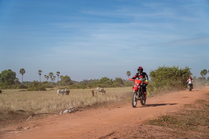 Half Day Siem Reap Off-Road Ride Tour - Practical preparation for a smoother ride