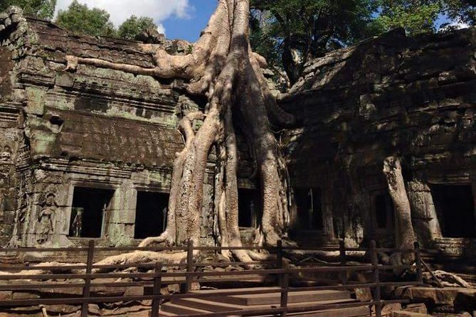 Half-Day Ta Prohm and Banteay Kdei Tour - Banteay Kdei offers a quieter Buddhist stop