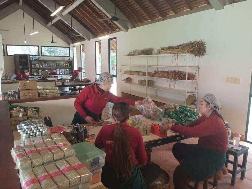 Half Day Trip: Silk Farm, Satcha, and Senteur d'Angkor Tour - Why private tuk-tuk transport helps