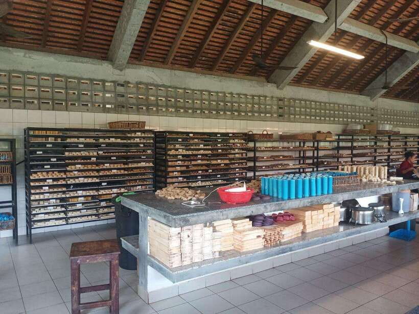 Half Day Trip: Silk Farm, Satcha, and Senteur d'Angkor Tour - What to bring and how to prepare