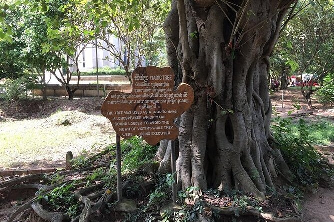 Half Day Trip to Killing Field and Genocidal Museum - Who should book this half-day experience?