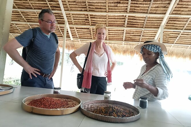 Kampot/Cambodia pepper farm . Cave. lake. Kep Crab market & more. - Is $38 good value for up to three people?