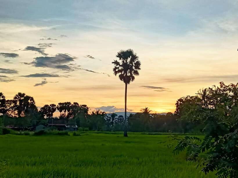 Kampot Countryside include Pepper farm,Kep crab market beach - Why this Kampot day works so well