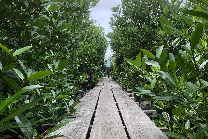 Kampot Countryside Tour - Pepper Farm, Salt Lake, Caves, and more - Phnom Chhngok Cave Temple and the stair climb