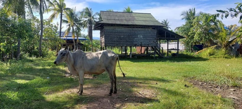 Kampot: Cultural Bike Experience - Local Life & Countryside - Why the countryside matters more than another town stop