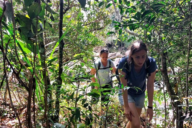 Kampot Day Tour "Bokor National Park" - Popokvil Waterfall: pleasant, but keep expectations modest