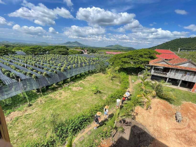 Kampot Pepper Farm, Salt Fields, Crab Market from Phnom Penh - The guide and driver can shape the whole day