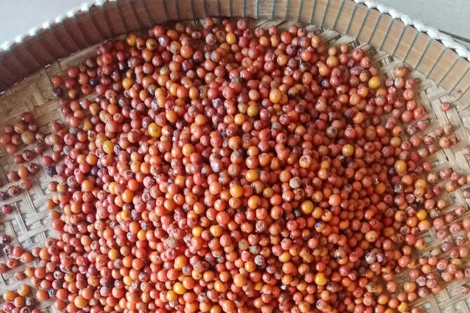 KAMPOT- Pepper farm ..salt fields.Kep/Crab market & more........ - A full day beyond Kampot town