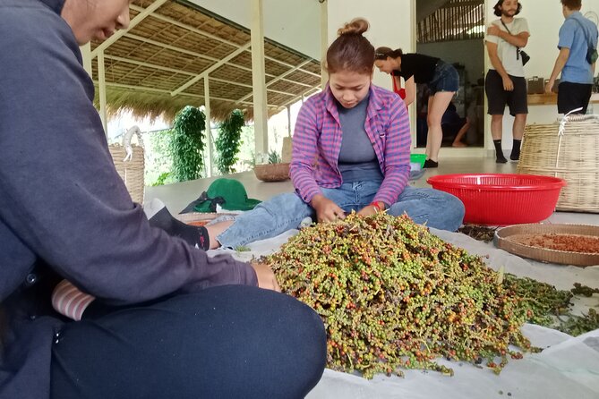 KAMPOT- Pepper farm ..salt fields.Kep/Crab market & more........ - La Plantation and the taste of Kampot pepper