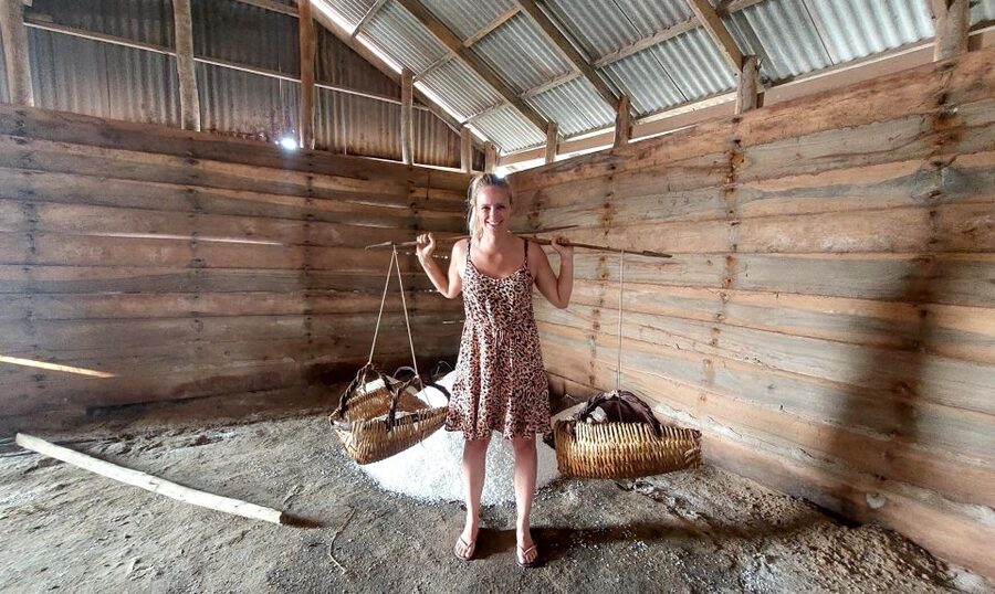 Kampot: Pepper Farm Tours, Salt, Lake & Phnom Chhngok Temple - Who should book this Kampot tour?