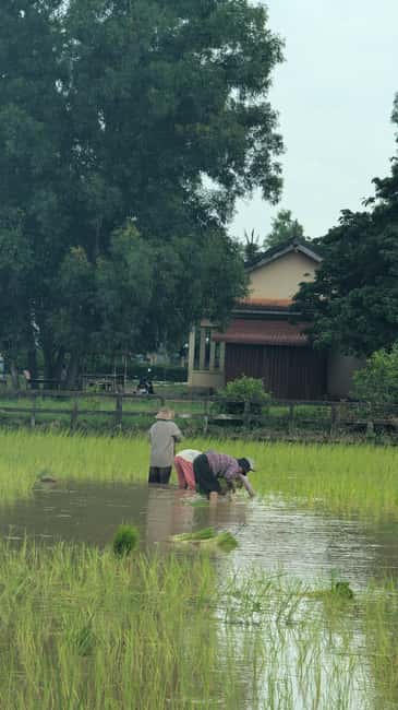 Kampot Pepper & Kep/Crab Market Tours: Salt, Secret lake - Who should book this tour?