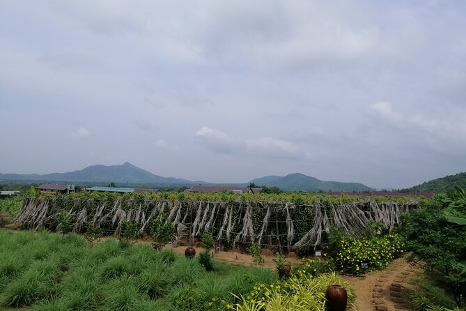 Kampot Tour Pepper Plantation, Salt Field, Cave, Secret Lake - Salt fields show Kampot at work