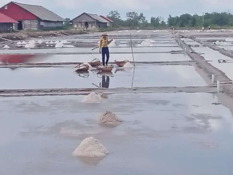 Kampot: Tuk Tuk Trip to Pepper Farm, Kep, Crab Market & More - Salt fields and the work behind the scenery