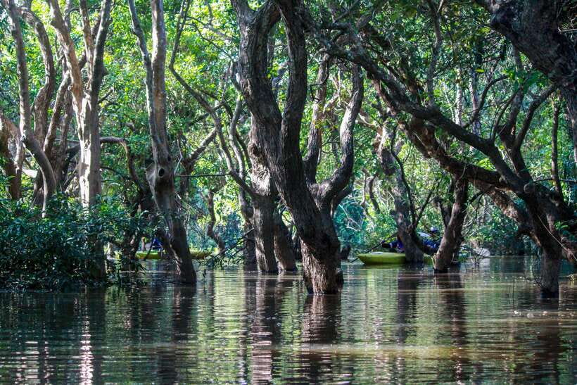 Kayaking & Floating Village in Siem Reap - Tonle Sap views and the timing question