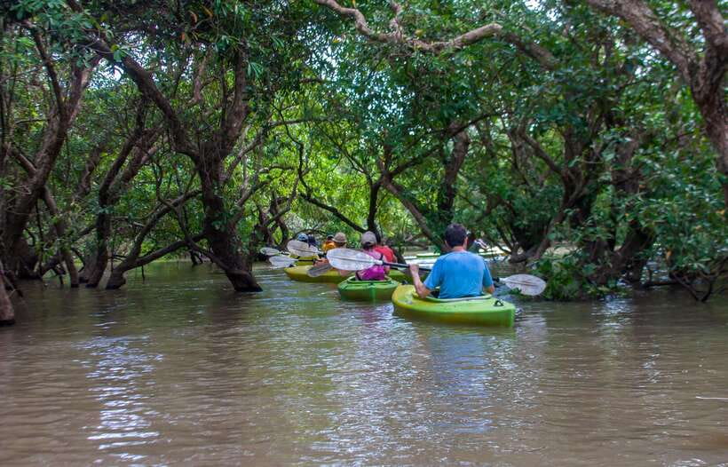 Kayaking & Floating Village in Siem Reap - Paddling among floating homes