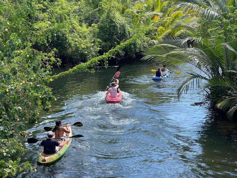 Kayaking tour around green cathedral - Why the Green Cathedral works so well by kayak