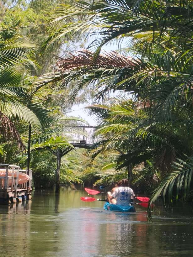 Kayaking tour around green cathedral - Swimming, fruit, and a beer at sunset