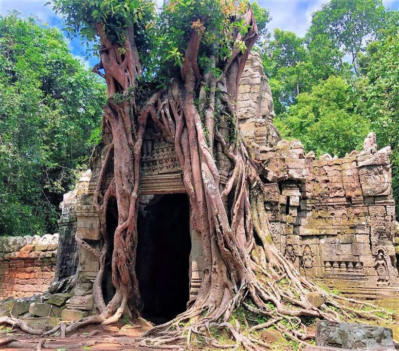 Kbal Spean Trekking Tour with Banteay Srei & Landmine Museum - Who should book this experience