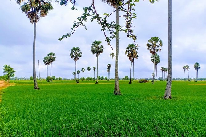 Killing Field & Paddy Rice Fields Tuk Tuk Adventure - Rice fields, Khmer villages, and Tonle Bati